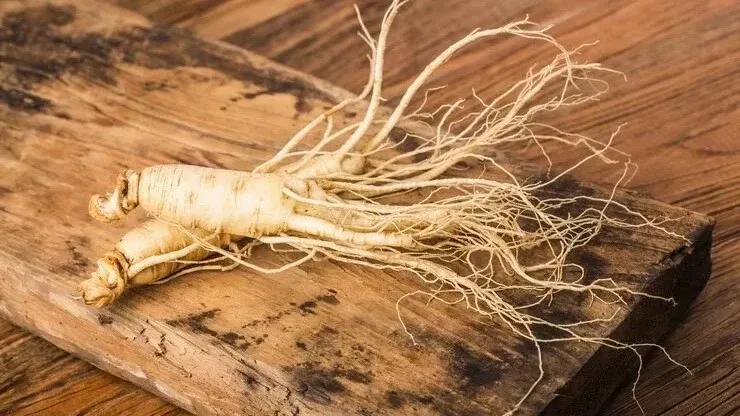 Panax Ginseng Extract